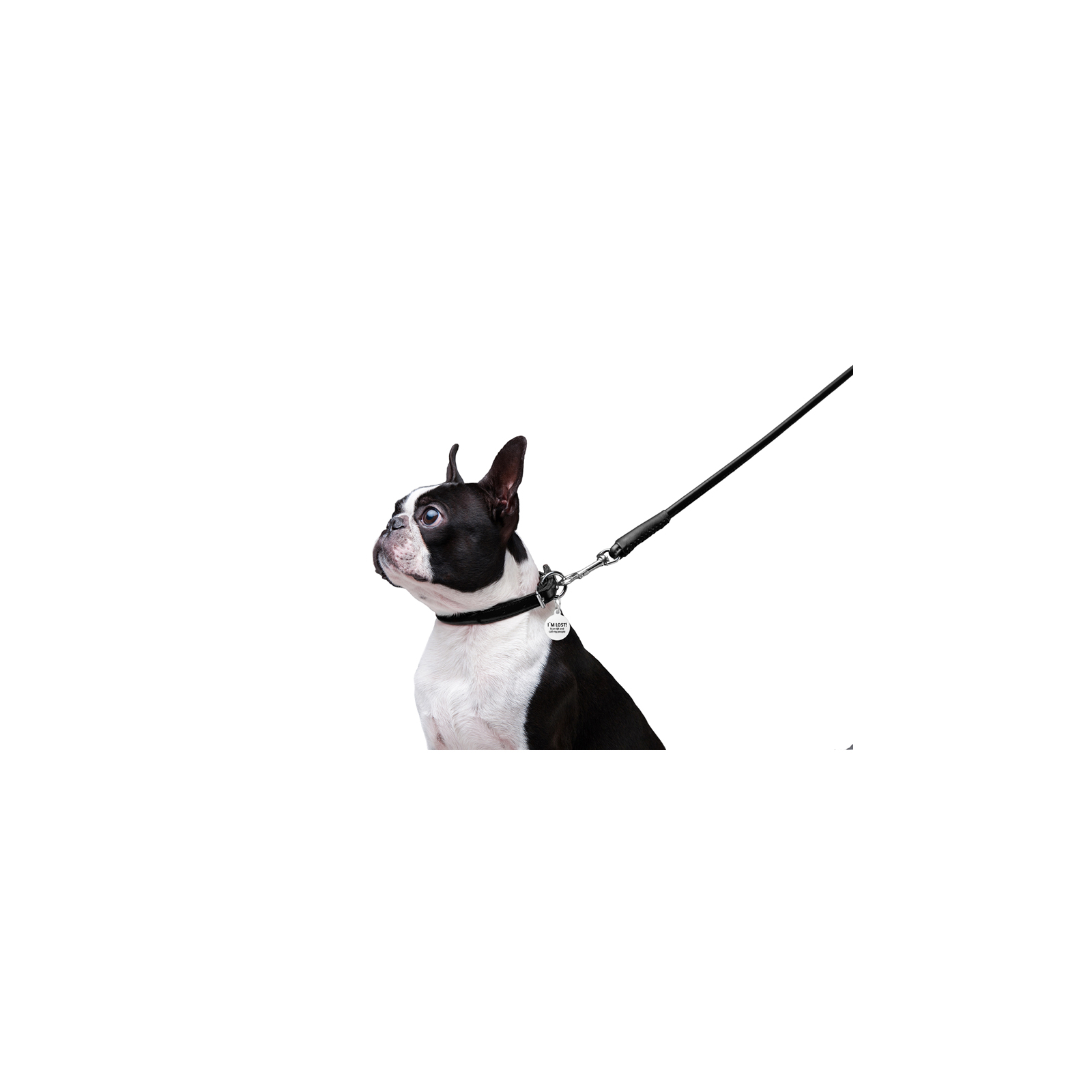 Поводок для собак WAUDOG Glamour круглый XS d 8 мм Д 122 см черный (33771) изображение 6