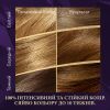 Фарба для волосся Wella Color Perfect 6/0 Темно-русявий (4064666598321) зображення 3