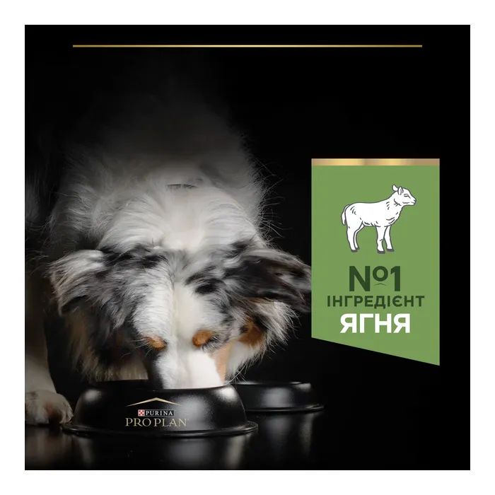 Сухий корм для собак Purina Pro Plan Medium з чутливим травленням (ягня) 14 кг (7613035214774) зображення 7