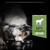 Сухий корм для собак Purina Pro Plan Medium з чутливим травленням (ягня) 14 кг (7613035214774) зображення 7