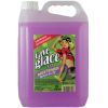 Омыватель автомобильный BARDAHL LG EXPORT FRUIT 5л (4561B)