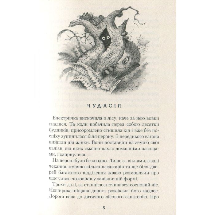 Книга Бухтик з тихого затону - Володимир Рутківський А-ба-ба-га-ла-ма-га (9786175850268) зображення 3