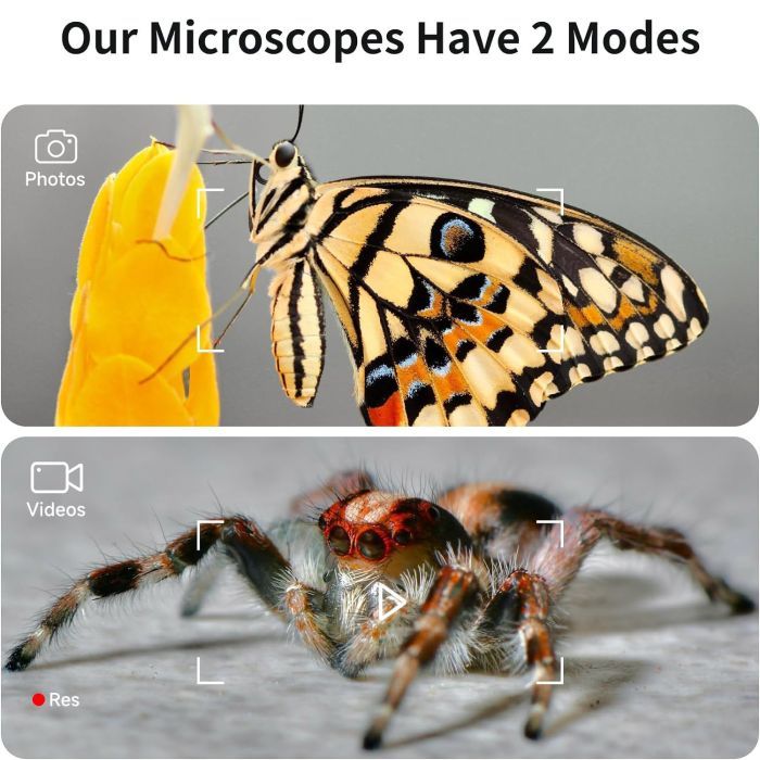Мікроскоп Xiaomi BeaverLAB DDL-M2 Portable (DDL-M2C) зображення 7