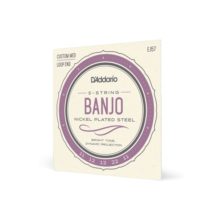 Струны для гитары D'Addario Banjo Nickel Plated Steel Custom Medium (11-22) (EJ57) изображение 2