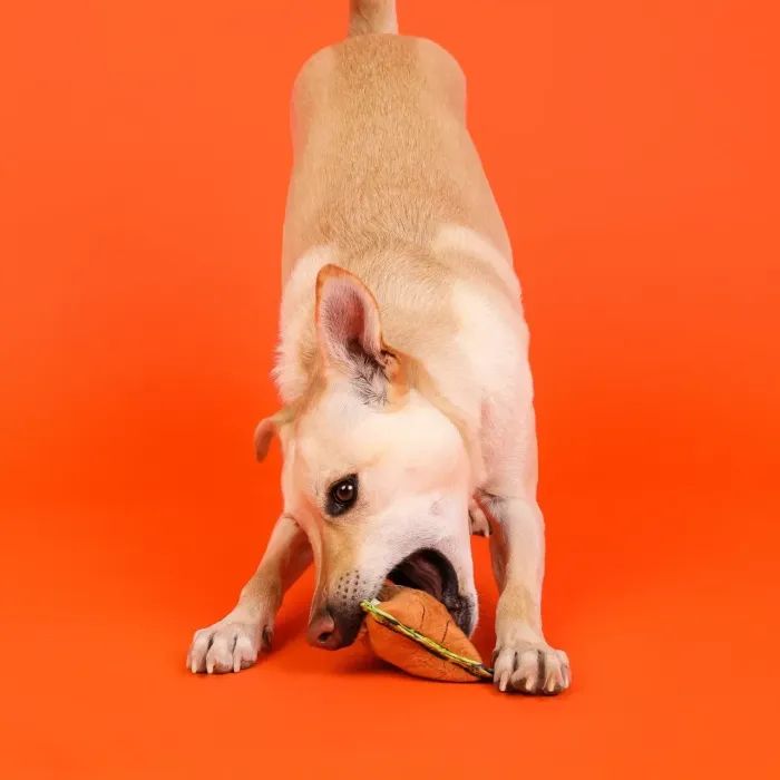 Игрушка для собак Outward Hound Xtreme Seamz Lion (0700603698849) изображение 8