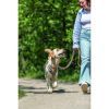 Поводок для собак Trixie Cavo регулируемый S–M 2 м диаметр 12 мм розово-песочный. (4053032677838) изображение 3