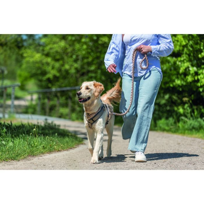 Поводок для собак Trixie Cavo регулируемый S–M 2 м диаметр 12 мм рыжий-графитовый (4053032677890) изображение 4