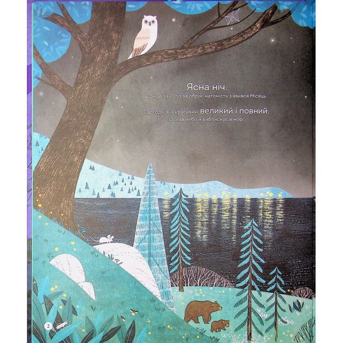 Книга Книжка про місяць - Лора Ковен Жорж (9786178287993) зображення 3