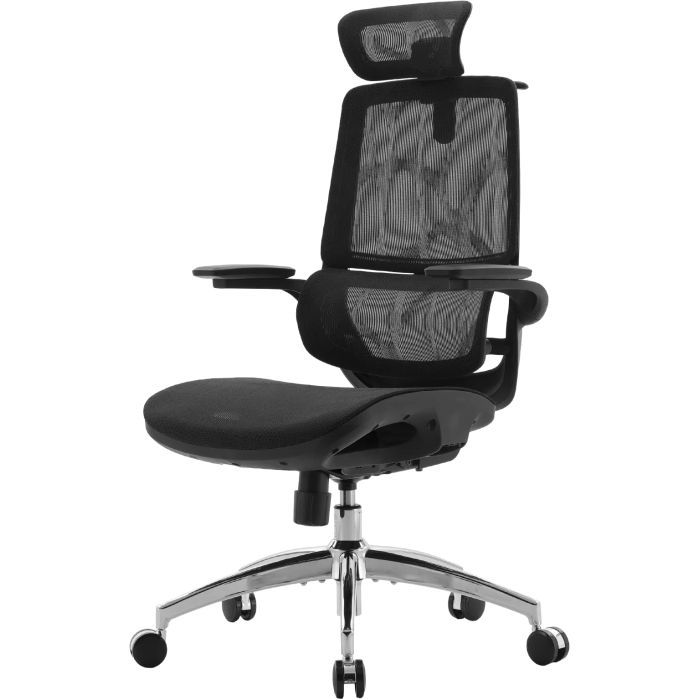 Офісне крісло Sihoo M59AS Mesh Black (M59AS-M302) зображення 2
