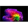 Телевизор LG OLED65G64LW
