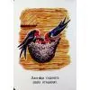 Книга 22 картинки. Пори року Ранок (9786178773793) зображення 12