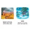 Книга 22 картинки. Пори року Ранок (9786178773793) изображение 2