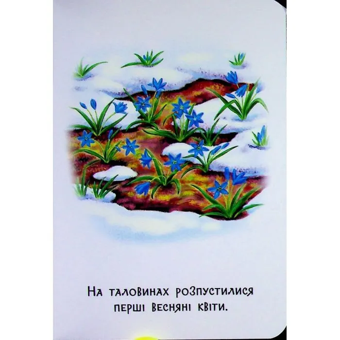 Книга 22 картинки. Пори року Ранок (9786178773793) зображення 5