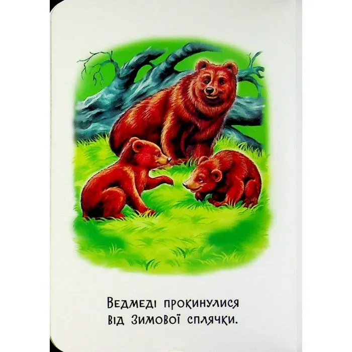 Книга 22 картинки. Пори року Ранок (9786178773793) зображення 6