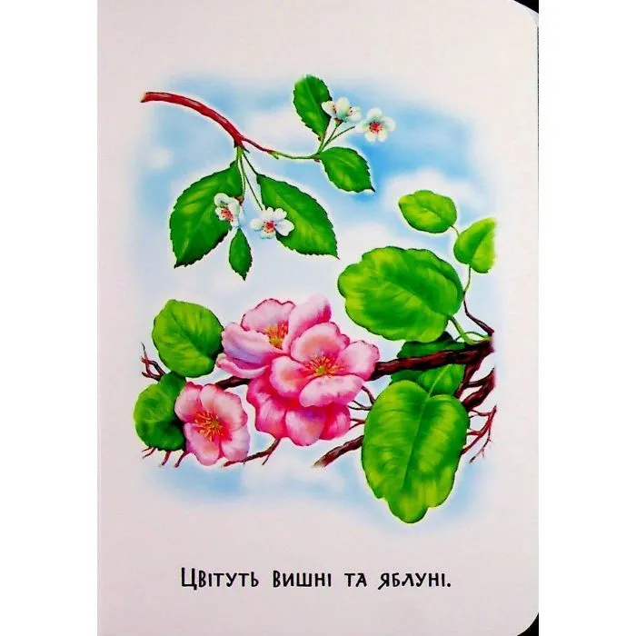 Книга 22 картинки. Пори року Ранок (9786178773793) зображення 9