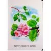 Книга 22 картинки. Пори року Ранок (9786178773793) зображення 9